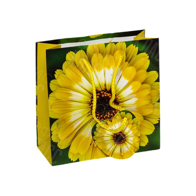 ПАКЕТ ПОДАРОЧНЫЙ 16Х16Х7 СМ GB-24115