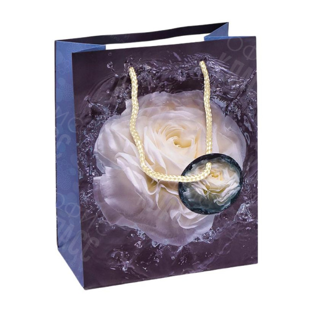 ПАКЕТ ПОДАРОЧНЫЙ 18Х23Х10 СМ GB-24125