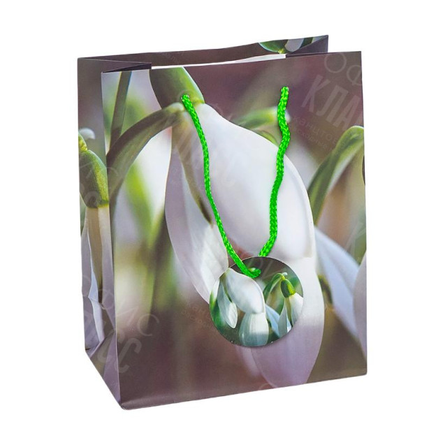 ПАКЕТ ПОДАРОЧНЫЙ 18Х23Х10 СМ GB-24127