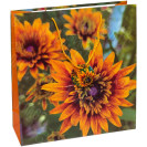 ПАКЕТ ПОДАРОЧНЫЙ 35Х37Х12 СМ GB-24177