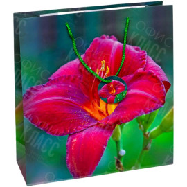 ПАКЕТ ПОДАРОЧНЫЙ 35Х37Х12 СМ GB-24182