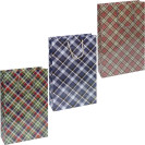 ПАКЕТ ЦВЕТНОЙ БОЛЬШОЙ "ПОДАРОЧНЫЙ" ВЕРТИКАЛЬНЫЙ 25Х36Х12 СМ 5031