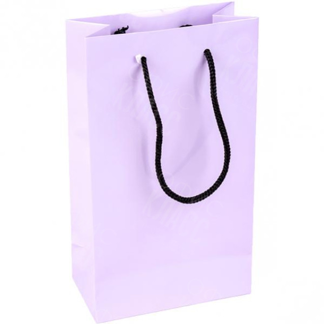 ПАКЕТ ЦВЕТНОЙ МАЛЫЙ «ОДНОТОННЫЙ»  11×18×5 СМ 1013