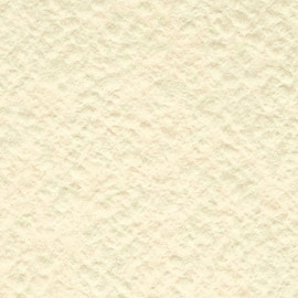 БУМАГА РИСОВАЛЬНАЯ 280Г/М² СЛОНОВАЯ КОСТЬ 600Х840  БРСК/А1 ЛХ