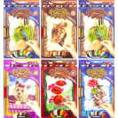 ВЫШИВКА ГЛАДЬЮ С РАМКОЙ НА РАСТЯЖКЕ VGL-01–01