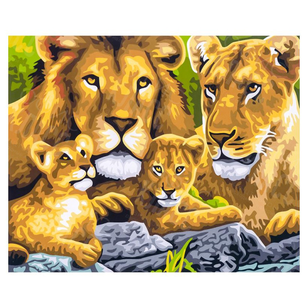 АЛМАЗНАЯ ЖИВОПИСЬ 30Х40 GLD61625 В КАРТОННОЙ КОРОБКЕ