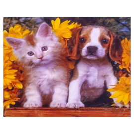 АЛМАЗНАЯ ЖИВОПИСЬ 30Х40 GLD62100 В КАРТОННОЙ КОРОБКЕ