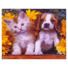 АЛМАЗНАЯ ЖИВОПИСЬ 30Х40 GLD62100 В КАРТОННОЙ КОРОБКЕ