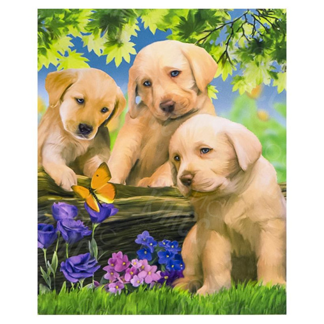 АЛМАЗНАЯ ЖИВОПИСЬ 30Х40 GLD62159 В КАРТОННОЙ КОРОБКЕ