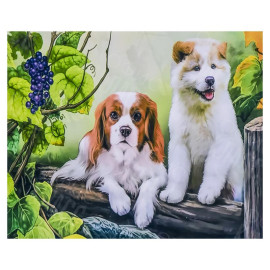 АЛМАЗНАЯ ЖИВОПИСЬ 30Х40 GLD62236 В КАРТОННОЙ КОРОБКЕ