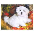 АЛМАЗНАЯ ЖИВОПИСЬ 30Х40 GLD62250 В КАРТОННОЙ КОРОБКЕ