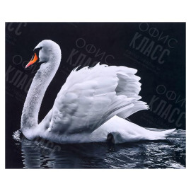 АЛМАЗНАЯ ЖИВОПИСЬ 30Х40 GLD62309 В КАРТОННОЙ КОРОБКЕ