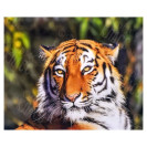 АЛМАЗНАЯ ЖИВОПИСЬ 30Х40 GLD62353 В КАРТОННОЙ КОРОБКЕ