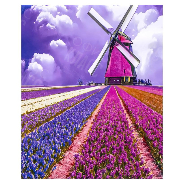 АЛМАЗНАЯ ЖИВОПИСЬ 30Х40 GLD62392 В КАРТОННОЙ КОРОБКЕ