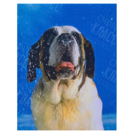 АЛМАЗНАЯ ЖИВОПИСЬ 30Х40 GLD62486 В КАРТОННОЙ КОРОБКЕ