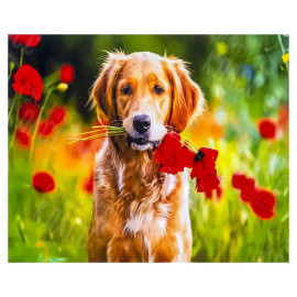 АЛМАЗНАЯ ЖИВОПИСЬ 30Х40 GLD62551 В КАРТОННОЙ КОРОБКЕ