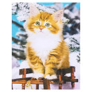 АЛМАЗНАЯ ЖИВОПИСЬ 30Х40 GLD62624 В КАРТОННОЙ КОРОБКЕ