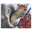 АЛМАЗНАЯ ЖИВОПИСЬ 30Х40 GLD62633 В КАРТОННОЙ КОРОБКЕ