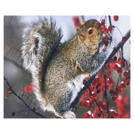 АЛМАЗНАЯ ЖИВОПИСЬ 30Х40 GLD62633 В КАРТОННОЙ КОРОБКЕ