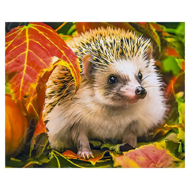 АЛМАЗНАЯ ЖИВОПИСЬ 30Х40 GLD62645 В КАРТОННОЙ КОРОБКЕ