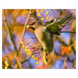 АЛМАЗНАЯ ЖИВОПИСЬ 30Х40 GLD62649 В КАРТОННОЙ КОРОБКЕ