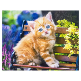 АЛМАЗНАЯ ЖИВОПИСЬ 30Х40 GLD62669 В КАРТОННОЙ КОРОБКЕ