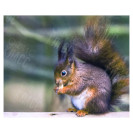 АЛМАЗНАЯ ЖИВОПИСЬ 30Х40 GLD62696 В КАРТОННОЙ КОРОБКЕ