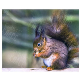 АЛМАЗНАЯ ЖИВОПИСЬ 30Х40 GLD62696 В КАРТОННОЙ КОРОБКЕ