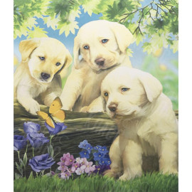 АЛМАЗНАЯ ЖИВОПИСЬ 40Х50 GLE76451 В КАРТОННОЙ КОРОБКЕ