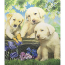 АЛМАЗНАЯ ЖИВОПИСЬ 40Х50 GLE76451 В КАРТОННОЙ КОРОБКЕ