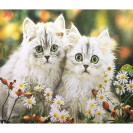 АЛМАЗНАЯ ЖИВОПИСЬ 40Х50 GLE77184 В КАРТОННОЙ КОРОБКЕ