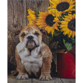 АЛМАЗНАЯ ЖИВОПИСЬ 40Х50 GLE77317 В КАРТОННОЙ КОРОБКЕ