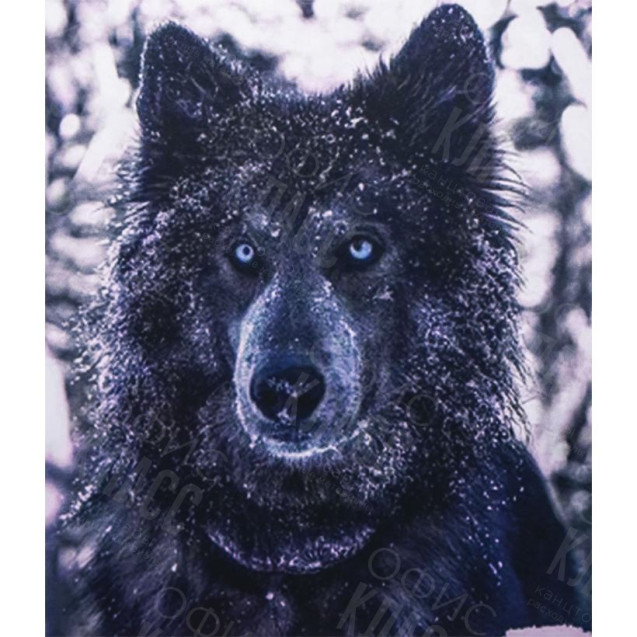 АЛМАЗНАЯ ЖИВОПИСЬ 40Х50 GLE77610 В КАРТОННОЙ КОРОБКЕ