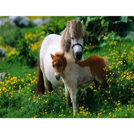 КАРТИНА ПО НОМЕРАМ 40X50 RA73473 В КОРОБКЕ, АКРИЛОВЫЕ КРАСКИ, NEW!