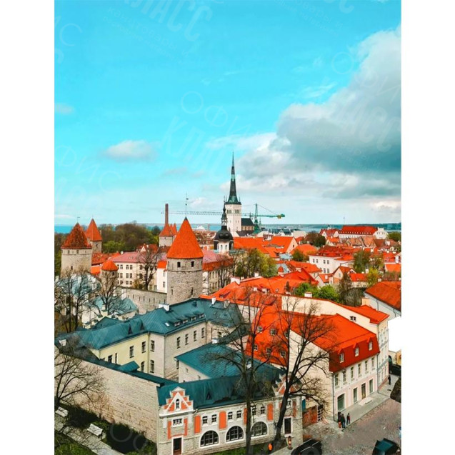 КАРТИНА ПО НОМЕРАМ 40X50 RA73503 В КОРОБКЕ, АКРИЛОВЫЕ КРАСКИ, NEW!