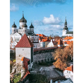 КАРТИНА ПО НОМЕРАМ 40X50 RA73531 В КОРОБКЕ, АКРИЛОВЫЕ КРАСКИ, NEW!