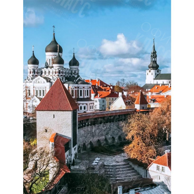 КАРТИНА ПО НОМЕРАМ 40X50 RA73531 В КОРОБКЕ, АКРИЛОВЫЕ КРАСКИ, NEW!