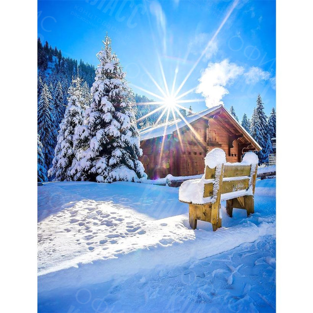 КАРТИНА ПО НОМЕРАМ 40X50 RA73586 В КОРОБКЕ, АКРИЛОВЫЕ КРАСКИ, NEW!