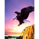 КАРТИНА ПО НОМЕРАМ 40X50 RA73596 В КОРОБКЕ, АКРИЛОВЫЕ КРАСКИ, NEW!