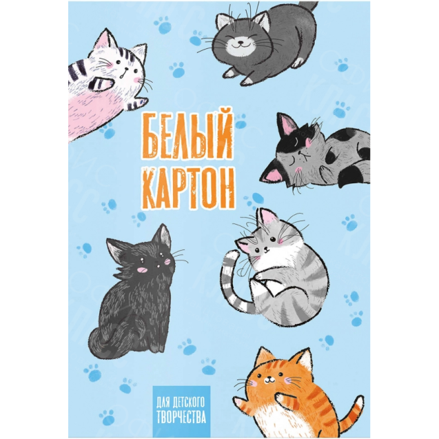 КАРТОН БЕЛЫЙ НАБОР 10 ЛИСТОВ 300Г/М² В П/Э ПАКЕТЕ