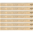 ЛИНЕЙКА 30СМ ДЕРЕВЯННАЯ "ФИЗИКА" 103042