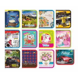 ПАПКА В5+ ЗМЕЙКА ДЛЯ ТЕТРАДЕЙ ЛАМИНИРОВАННАЯ 60 ВИДОВ АССРТИ