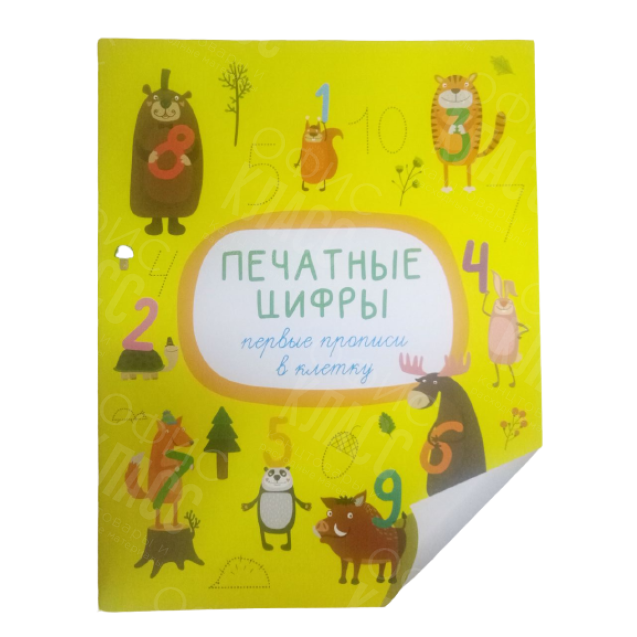 ПРОПИСЬ "ПЕЧАТНЫЕ ЦИФРЫ" ТИПОГРАФИЯ ПОЛИГРАФИСТ