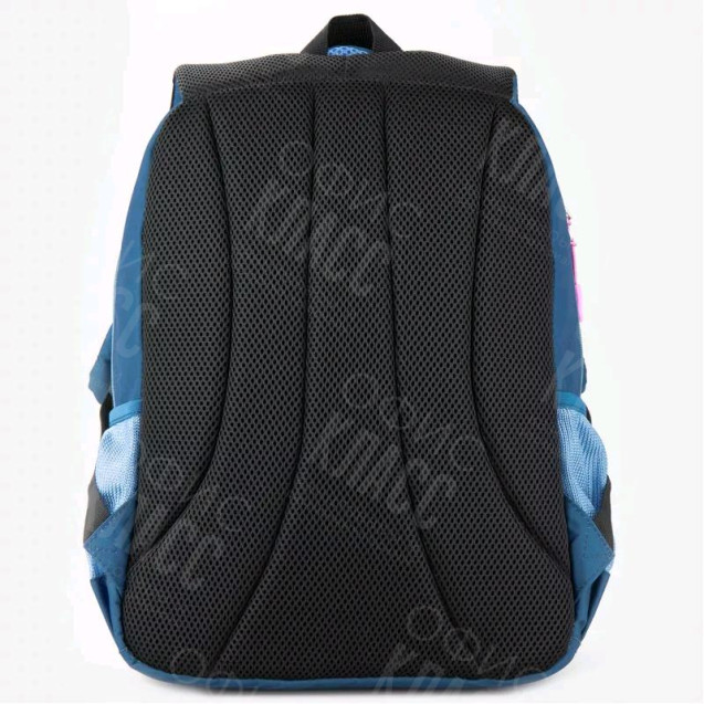 РЮКЗАК ЭРГОНОМИЧНАЯ СПИНКА 2 ОТДЕЛЕНИЯ 28*38*18 EDUCATION DONT TOUCH THIS GOPACK GO20-113M-2/113-2