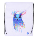 СУМКА Д/ОБУВИ НА ЗАВЯЗКАХ 43X34 CENTRUM 1