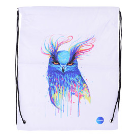 СУМКА Д/ОБУВИ НА ЗАВЯЗКАХ 43X34 CENTRUM 1