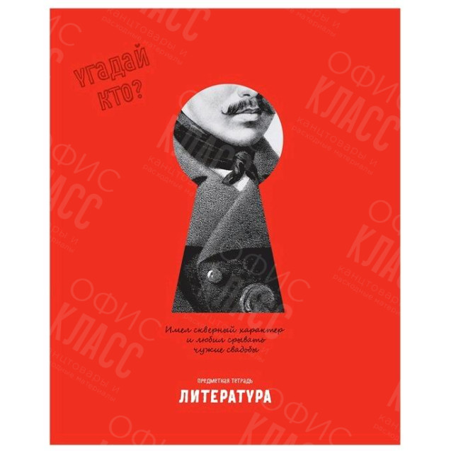 ТЕТРАДЬ ПРЕДМЕТНАЯ BG УГАДАЙ ЛИТЕРАТУРА 48 ЛИСТОВ 345298 ЛИНИЯ