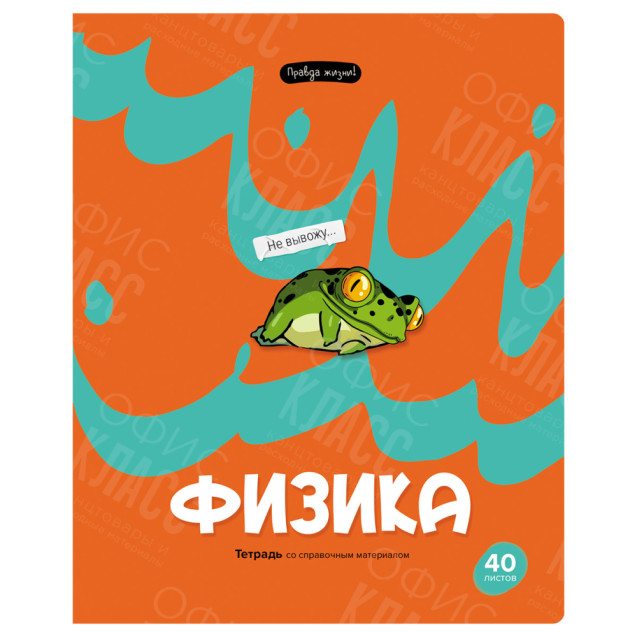 ТЕТРАДЬ ПРЕДМЕТНАЯ BG ФИЗИКА 40 ЛИСТОВ 355013 КЛЕТКА