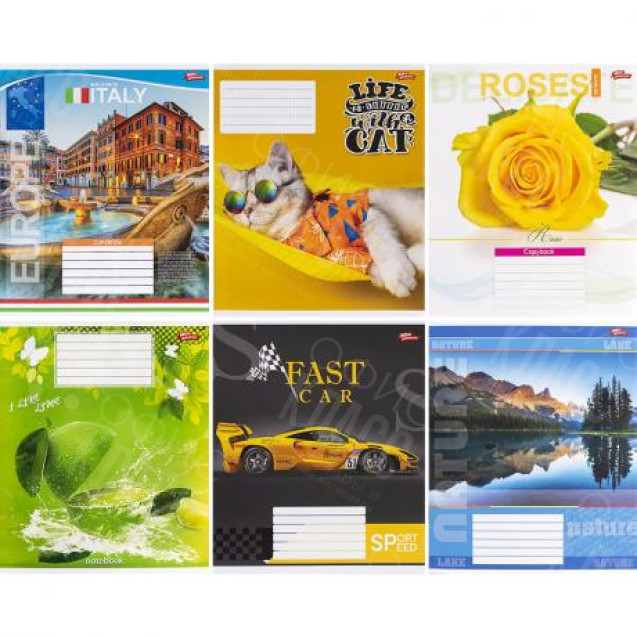 ТЕТРАДЬ ЦВЕТНАЯ ОБЛОЖКА 12 ЛИСТОВ КЛЕТКА 2024