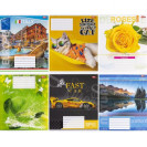 ТЕТРАДЬ ЦВЕТНАЯ ОБЛОЖКА 36 ЛИСТОВ КЛЕТКА 2024